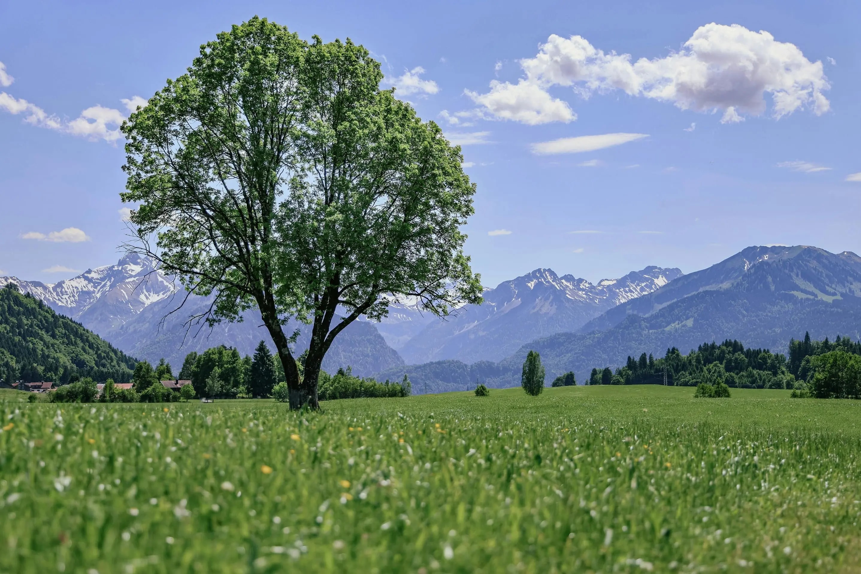 Beautiful nature scenery in the mountains